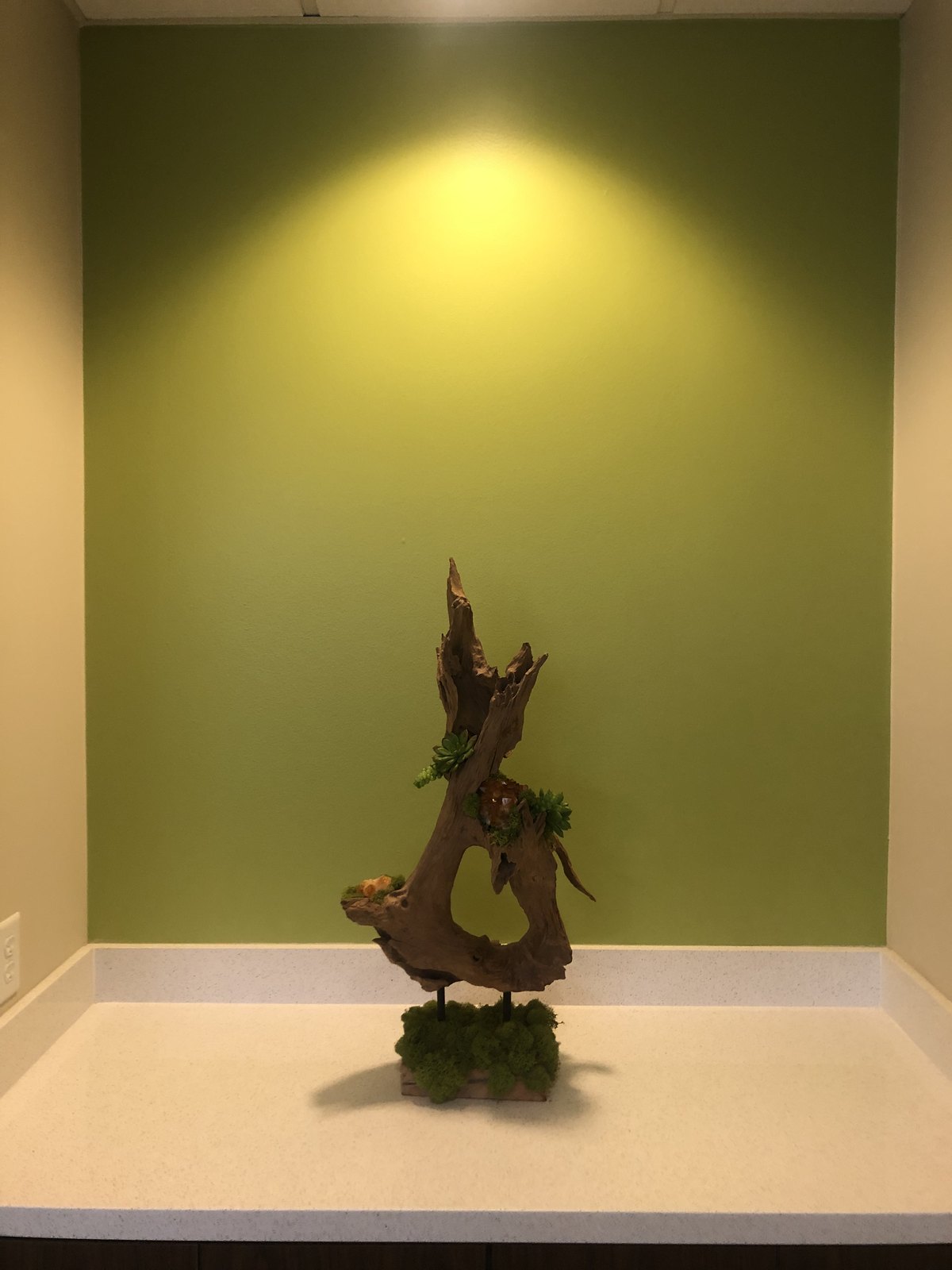 Conference room niche with a lit driftwood and succulent sculpture on a green wall